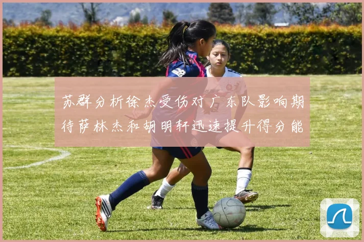 苏群分析徐杰受伤对广东队影响期待萨林杰和胡明轩迅速提升得分能力