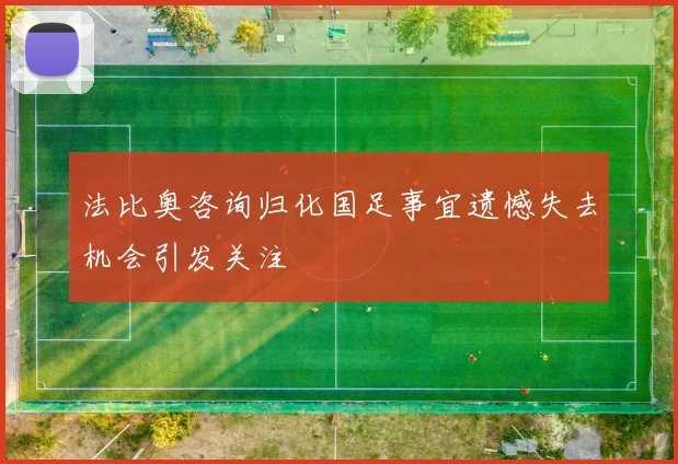 法比奥咨询归化国足事宜遗憾失去机会引发关注