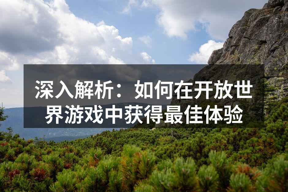 深入解析：如何在开放世界游戏中获得最佳体验